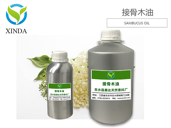 接骨木油